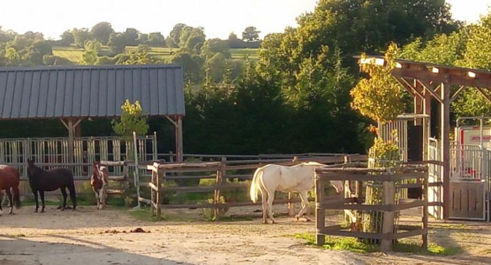 Willo Horse, une écurie active dans la Manche, labellisée EquuRES